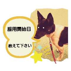 [LINEスタンプ] 薬局病院で報告用スタンプ