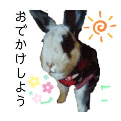 [LINEスタンプ] うちのペット『うさぎetc』