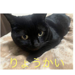 [LINEスタンプ] とってんてん