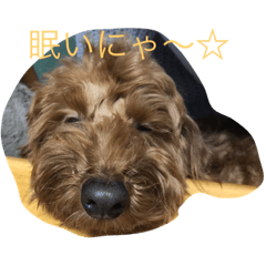 [LINEスタンプ] はると一緒に