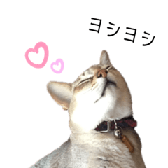 [LINEスタンプ] シンガプーラ ルカ