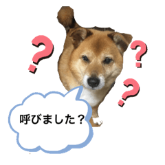 [LINEスタンプ] わんわんにゃにゃにゃ