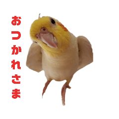 [LINEスタンプ] オカメインコとウロコインコ2