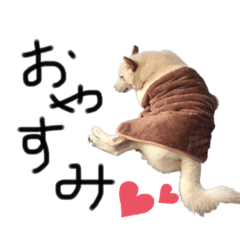 [LINEスタンプ] 定春くん
