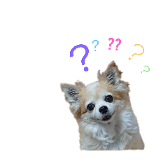 [LINEスタンプ] 鈴木家の家宝スタンプ