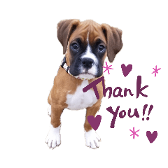 [LINEスタンプ] ボクサー犬.Emma