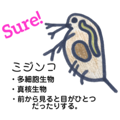 [LINEスタンプ] 手描きシリーズ 生物