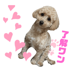[LINEスタンプ] もずく24