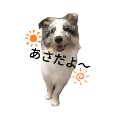 [LINEスタンプ] Lily(リリー)スタンプ