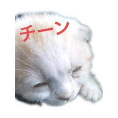[LINEスタンプ] ちびレモン