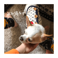 [LINEスタンプ] 路好
