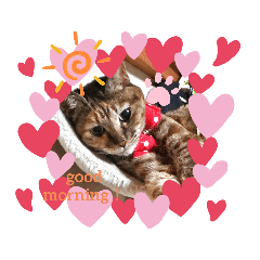 [LINEスタンプ] さっちゃん＆アーリー3