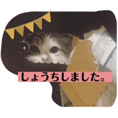 [LINEスタンプ] しぐれくん。