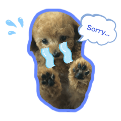 [LINEスタンプ] トイプードルのもぐ