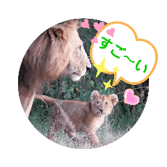 [LINEスタンプ] Animal Photo Stamps 2