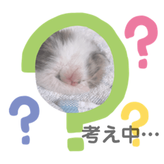 [LINEスタンプ] 保護猫 ミイナスタンプ