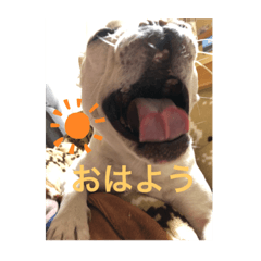 [LINEスタンプ] すあまのすーです。