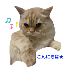 [LINEスタンプ] らぶマイペットたち