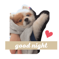 [LINEスタンプ] るるちゃんをスタンプにしたよ