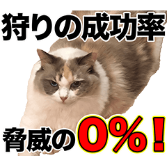 [LINEスタンプ] すなぎもちゃんとこむぎこくん