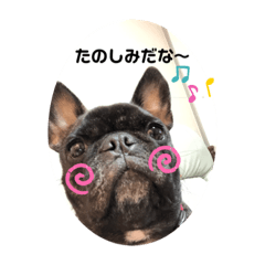 [LINEスタンプ] teto好きスタンプ