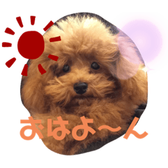 [LINEスタンプ] 癒され天使ちゃん