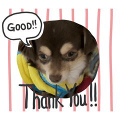 [LINEスタンプ] だいごそらりく