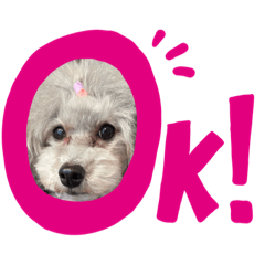 [LINEスタンプ] 我が家のモフモフpart2