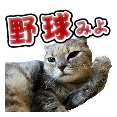 [LINEスタンプ] 猫と野球観戦