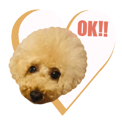 [LINEスタンプ] ルカのスタンプです
