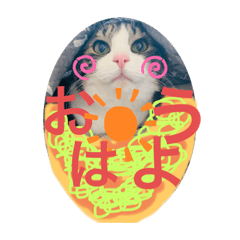 [LINEスタンプ] ほたてくんとつぶ男くん