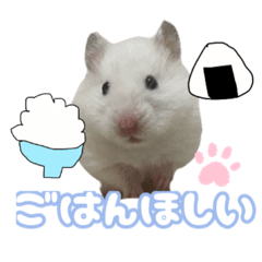 [LINEスタンプ] ハムスターかぶちゃん
