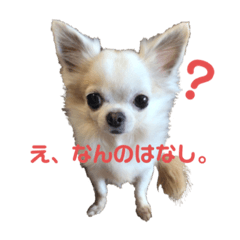 おケロさん