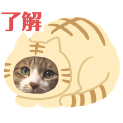 [LINEスタンプ] れおニャン