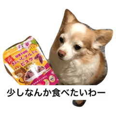 [LINEスタンプ] くぅちゃんの毎日2