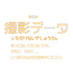 [LINEスタンプ] カメラマンとモデルの連絡用 納品編