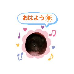 [LINEスタンプ] クロクマジャンガリアン