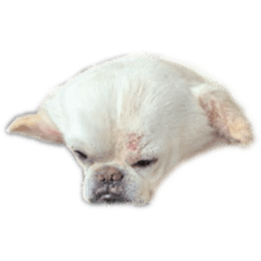 [LINEスタンプ] エイリアンのおともだち
