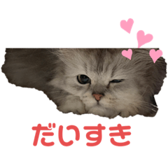 [LINEスタンプ] にゃーみるりゅう