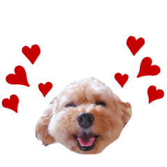 [LINEスタンプ] まろん@2
