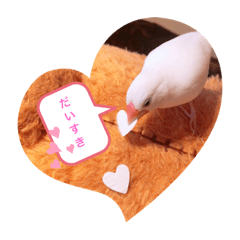 [LINEスタンプ] 鳥が可愛いすぎてどうしよう1