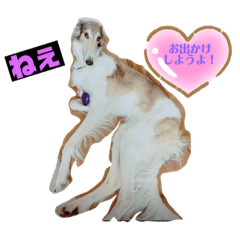 [LINEスタンプ] ボルゾイアンジーのあるある姿です。