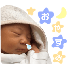 [LINEスタンプ] 壱虎の日常