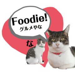 [LINEスタンプ] くるとチルのスタンプ2