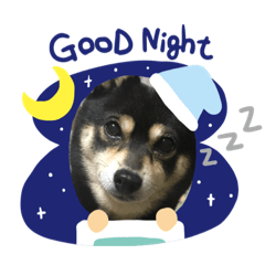 [LINEスタンプ] 黒豆柴カンナ