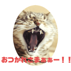 [LINEスタンプ] どうぶつスタンプププ