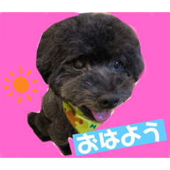 [LINEスタンプ] ロコちゃんスタンプ❤️