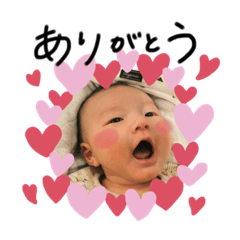 [LINEスタンプ] りつくん＆はくちゃん