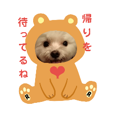 [LINEスタンプ] マルチーズルイの日常