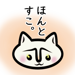 [LINEスタンプ] しろねこ【イマドキ】ひとこと